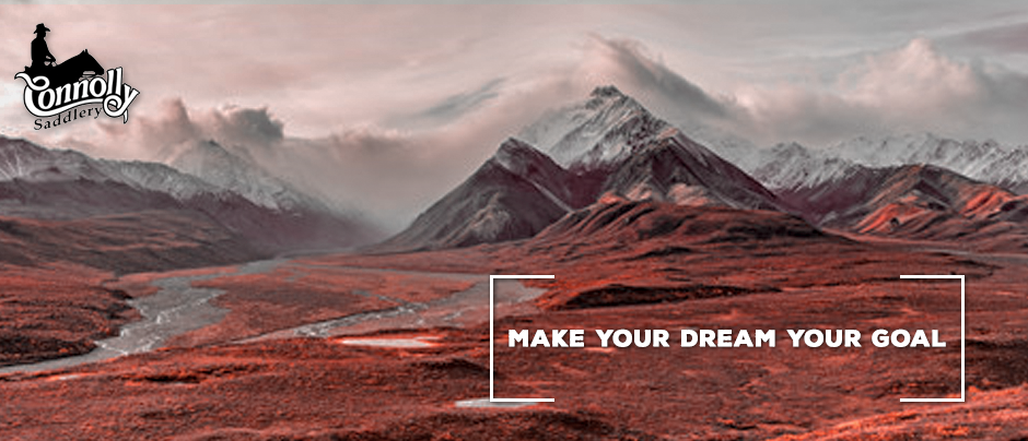 Make Your Dream Your Goal